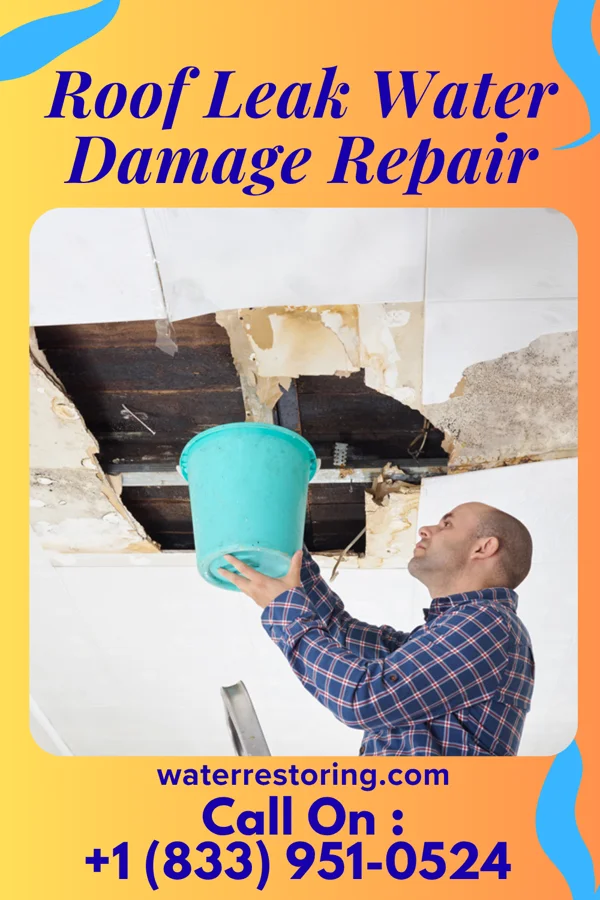 Roof Leak Water Damage Repair in Sanford, NC