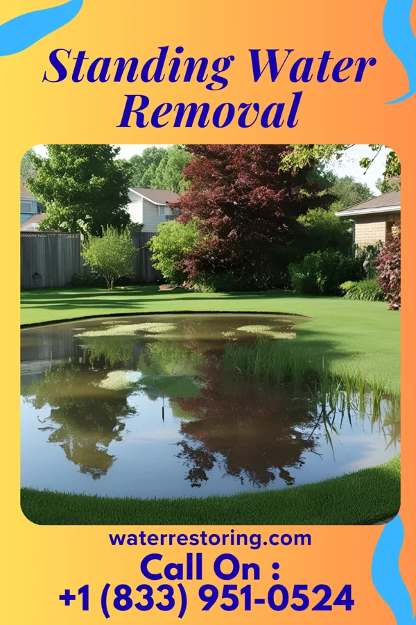 Standing Water Removal in Sanford, NC